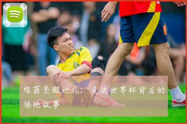 绿茵圣殿巡礼：走进世界杯背后的场地故事
