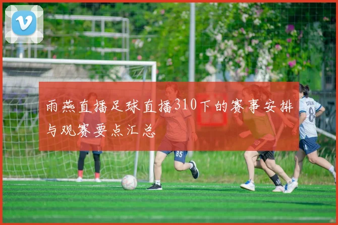 雨燕直播足球直播310下的赛事安排与观赛要点汇总