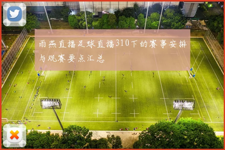 雨燕直播足球直播310下的赛事安排与观赛要点汇总