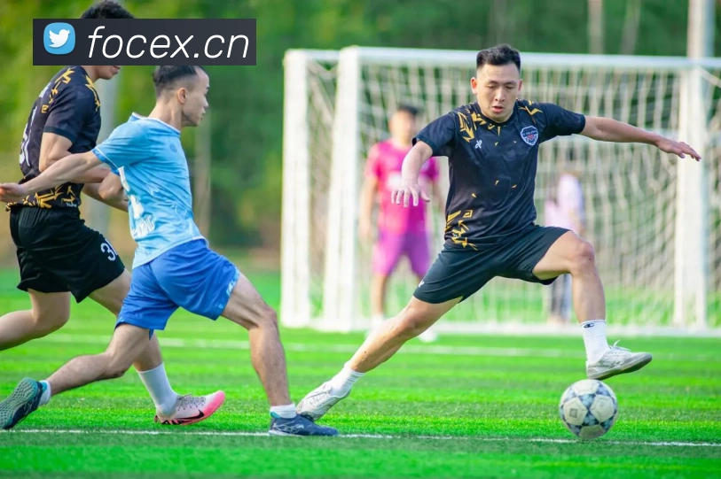 App Interface Preview